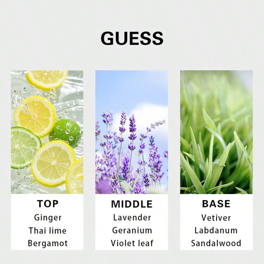 Guess Forever Homme Eau de Toi - Perfume Long Fragrance avis et prix